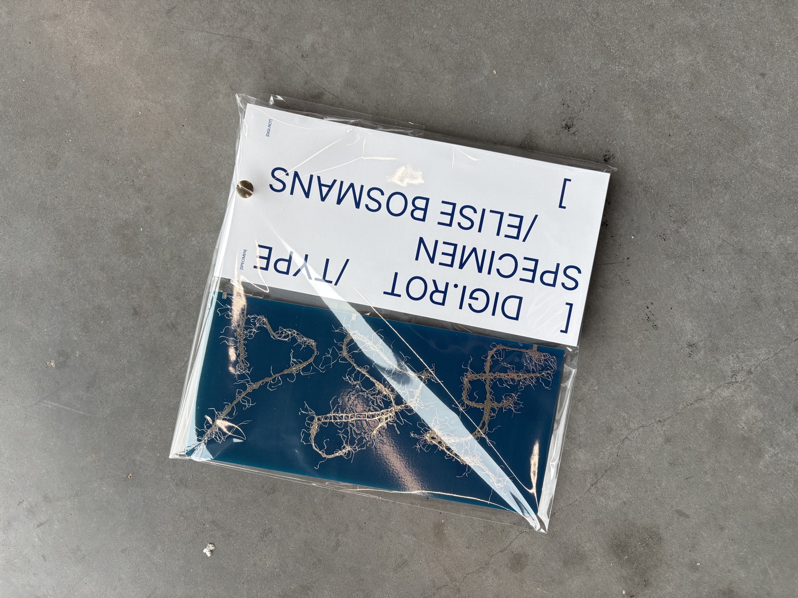 Digi.rot with PCB
